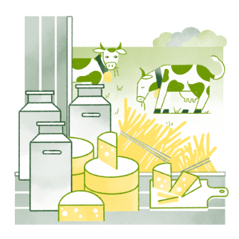 Milchproduktion